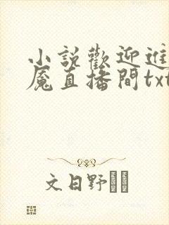 小说欢迎进入梦魇直播间txt下载