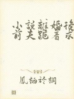 小说离婚后禁欲前夫跪着求复合简凝在线阅