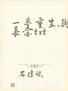 一梦重生,与君长念txt