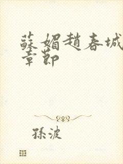 苏媚赵春城最新章节