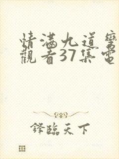 情满九道弯免费观看37集电视剧