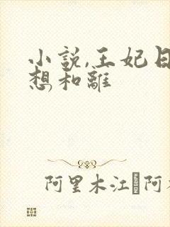 小说,王妃日日想和离