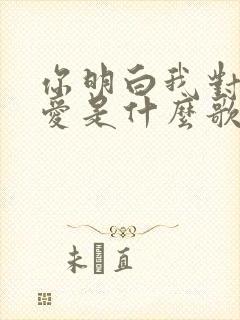 你明白我对你的爱是什么歌