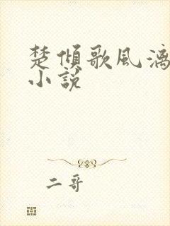 楚倾歌风漓夜的小说