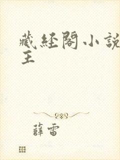 藏经阁小说网版主