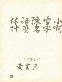 林洛陈雪小说叫什么名字啊