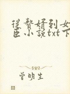 从赘婿到女帝宠臣小说txt下载