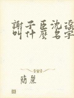 谢子臣沈瑶小说叫什么名字