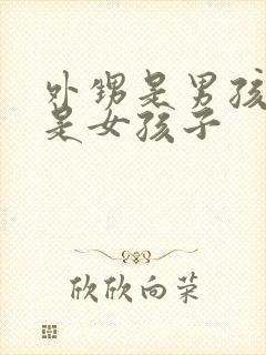 外甥是男孩子还是女孩子