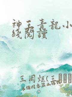 神王青龙小说在线阅读
