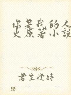 你是我的人间烟火原著小说