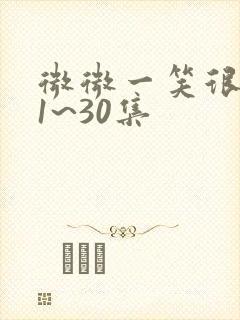 微微一笑很倾城1~30集