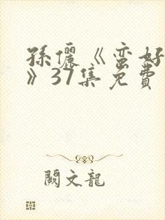 孙俪《蛮好人生》37集免费观看