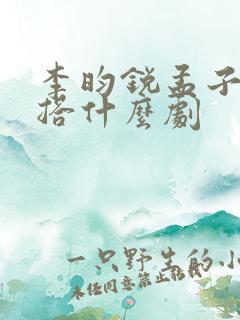 李昀锐孟子义二搭什么剧