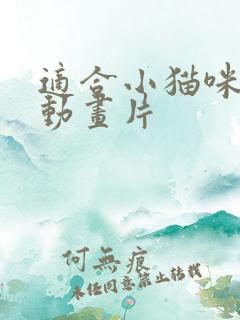 适合小猫咪看的动画片