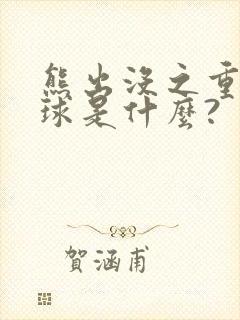 熊出没之重返地球是什么?