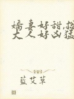 娇妻好甜,总裁大人好凶猛苏南风