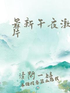 最新午夜激情爽片