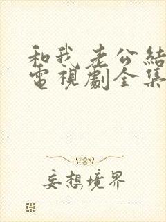 和我老公结婚吧电视剧全集免费观看