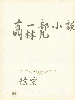 有一部小说主角叫林凡