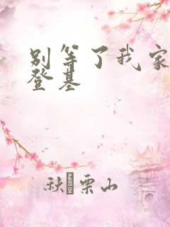 别等了我家夫君登基