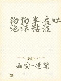 狗狗半夜吐白色泡沫粘液