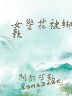 女警花被绑架调教