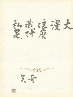 私藏浪漫大结局是什么