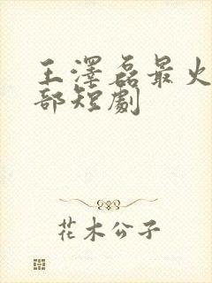 王泽磊最火的十部短剧