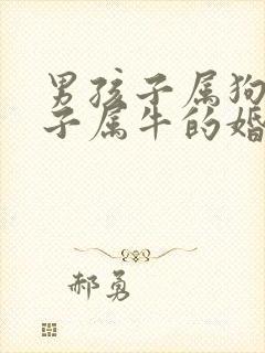 男孩子属狗女孩子属牛的婚姻配吗