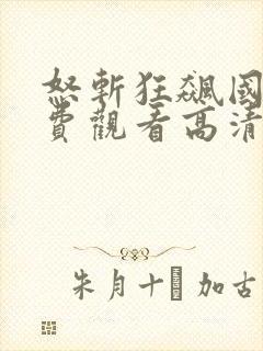 怒斩狂飙国语免费观看高清在线