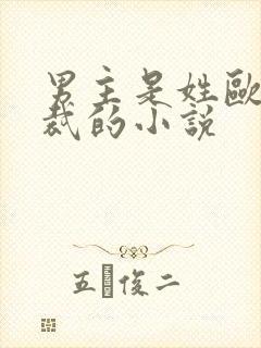 男主是姓欧的总裁的小说