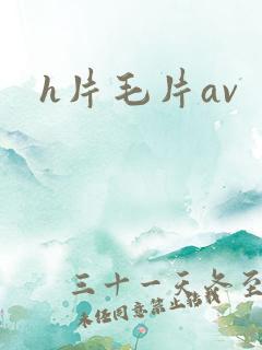 h片毛片av