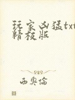 玩家凶猛txt精校版