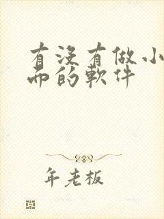 有没有做小说封面的软件