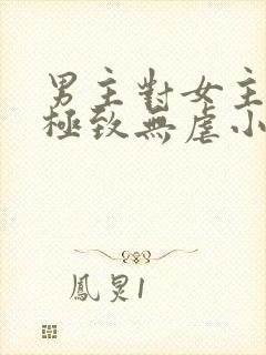 男主对女主宠到极致无虐小说