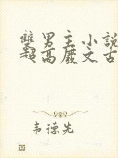 双男主小说车速超高废文古代