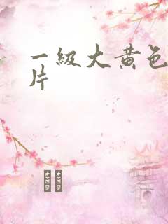 一级大黄色录像片