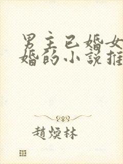 男主已婚女主未婚的小说推荐