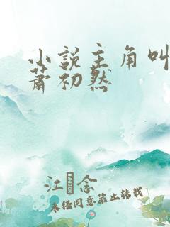 小说主角叫叶辰萧初然