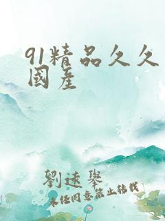 91精品久久久国产