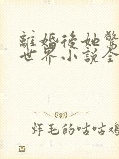 离婚后她惊艳了世界小说全文阅读