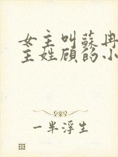 女主叫苏冉冉男主姓顾的小说