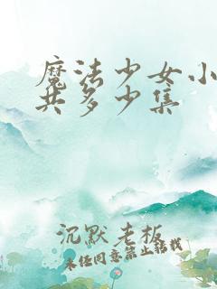 魔法少女小圆一共多少集