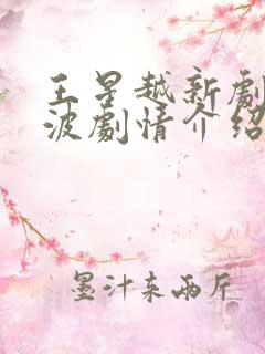 王星越新剧定风波剧情介绍