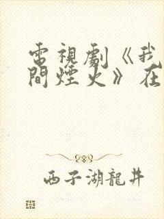 电视剧《我的人间烟火》在哪里看