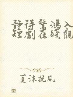 静待惊鸿入翁慌短剧在线观看