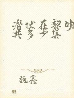 潜伏在黎明之前共多少集