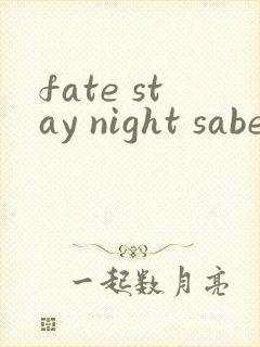 fate stay night saber线(2006)
