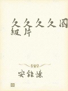 久久久久国产1级片